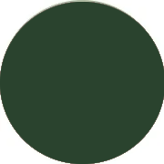 Outlet Dark Green Prom Dresses